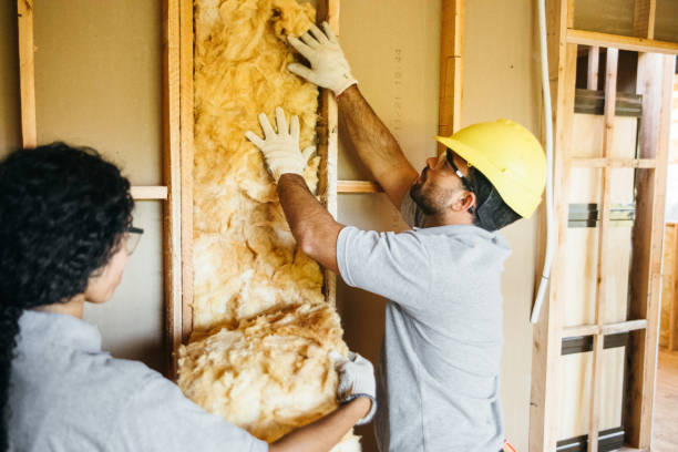 Best Basement Insulation  in Woodville, TX