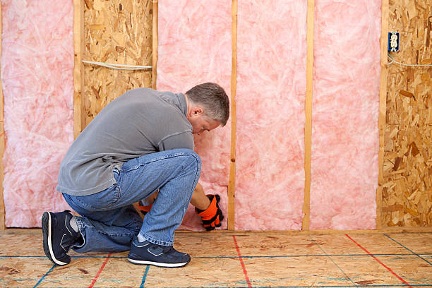 Best Batt and Roll Insulation  in Woodville, TX